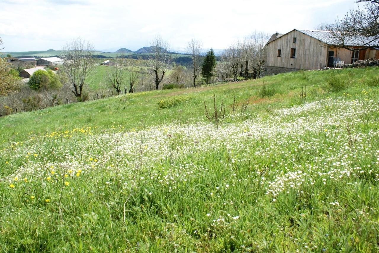 Gites La Boletiere Saint-Etienne-du-Valdonnez Экстерьер фото